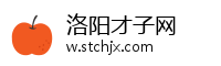 洛阳才子网